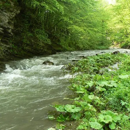 Nordic Chiflika Case de vacanță