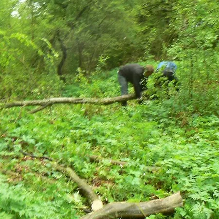 Feriehus Nordic Chiflika *