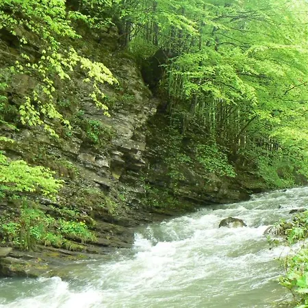 Nordic Chiflika * Chiflik (Lovech)