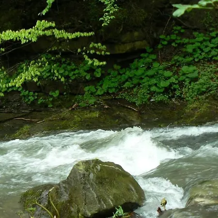 Case de vacanță Nordic Chiflika *