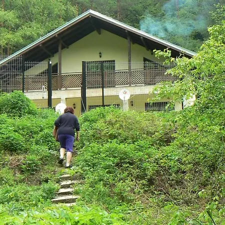 Nordic Chiflika Ciflic