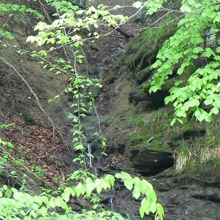 Nordic Chiflika Chiflik (Lovech)