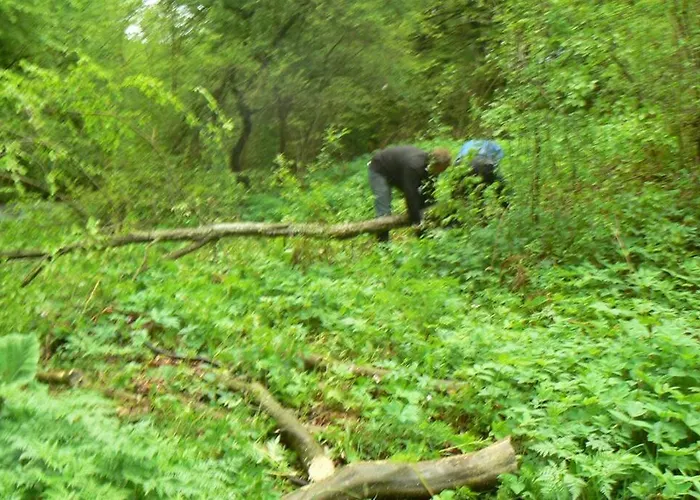 Ваканционна къща Nordic Chiflika *