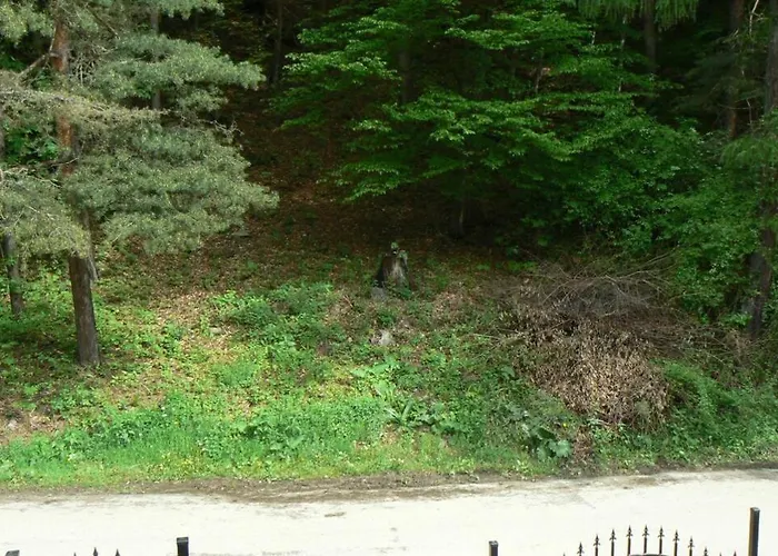 Nordic Chiflika * Чифлик