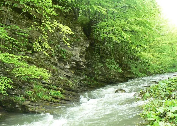 Nordic Chiflika * Chiflik (Lovech)