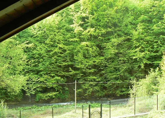 Nordic Chiflika * Chiflik (Lovech)