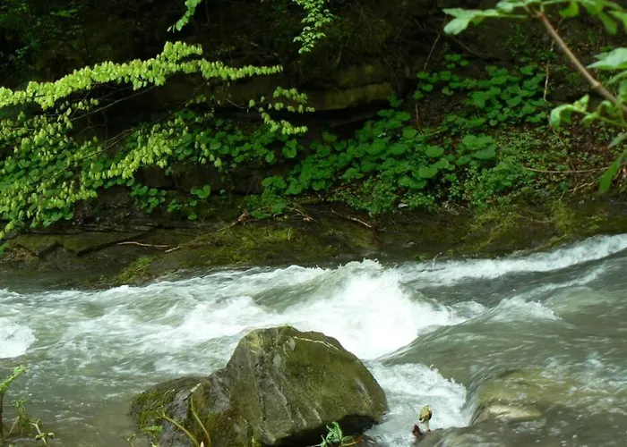 Ferienhaus Nordic Chiflika *