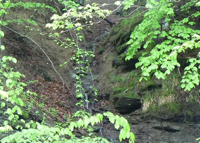 Nordic Chiflika Чифлик